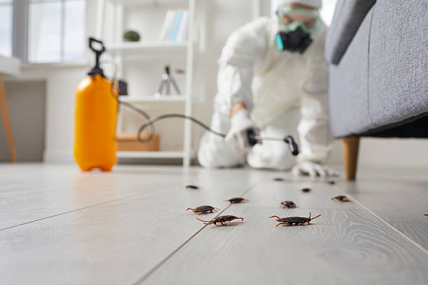 Post-Treatment Bed Bug Interceptor Monitoring in Wyoming